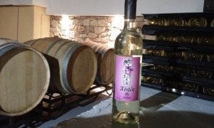 Vino Blanco Xènia 2015